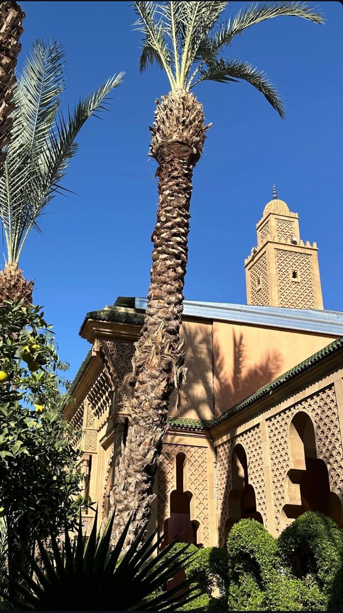 Riad Majestic Marrakech Marrakesh Exterior photo